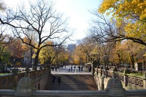 wedding Central Park The Mall