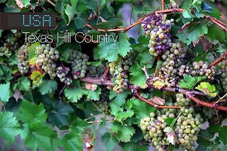 Texas Hill Country named one of 10 Best Wine Travel Destinations 2014 by Wine Enthusiast Magazine