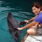 Lisa-shaking-hands-dolphin-Pacific-palau