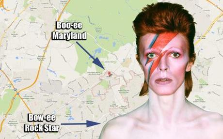 This is What Happens When You Visit Three Breweries and THEN Go to Dogfish Head: Beergrimage 2014 david bowie-bowie maryland-maryland-bowie