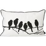It's a Black and White World: Graphic Pillows