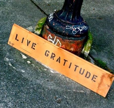 Picture Perfect: Live Gratitude