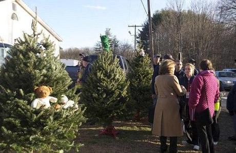 decorated SH Christmas trees