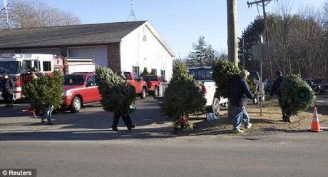 firemen move Christmas trees to road