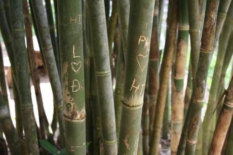 carved bamboo sticks in hue vietnam