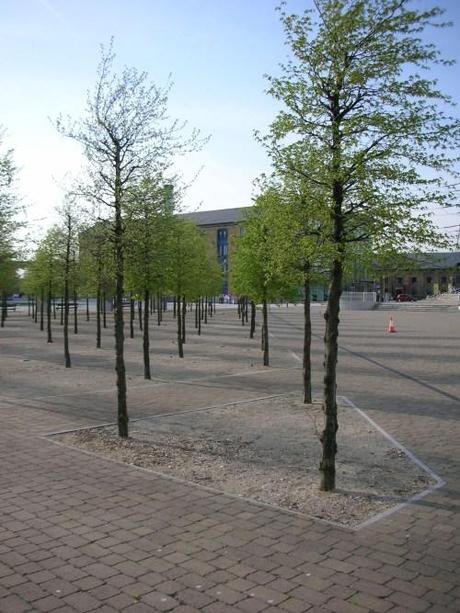 Royal Victoria Square, London - Tree Grid in Self Binding Gravel