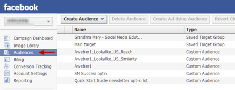 How to Effectively Use Custom Audiences in Facebook Ads