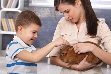 How can pets be beneficial for the family?