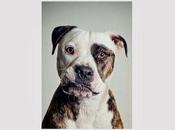 Kyla Grange “Cut Your Teeth” (Kygo Remix)