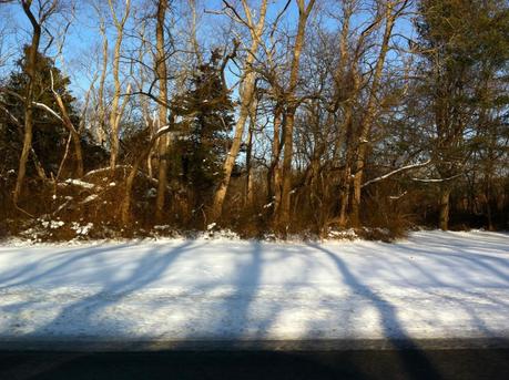 Snow-at-Bethpage-Park