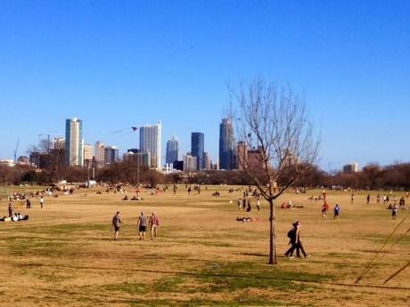 Berry Banana Green Power Smoothie