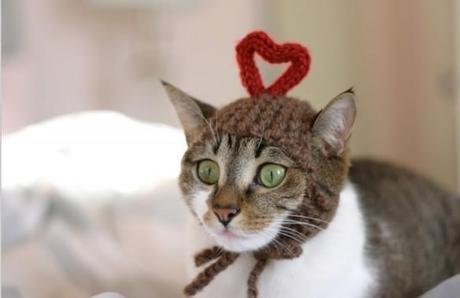 Cat in a heart shape Hat 
