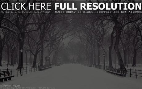 Weekend Reading | 1.25.14