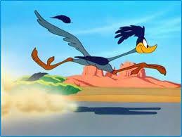 Road runner image