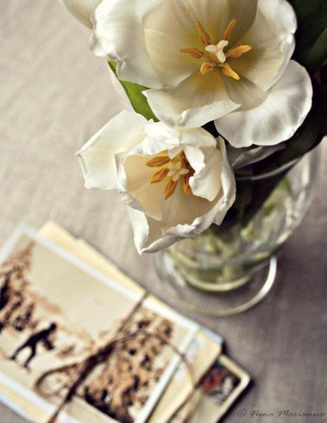 Still Life Photography - Snail mail & 