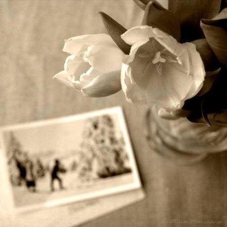 Still Life Photography - Snail mail & 