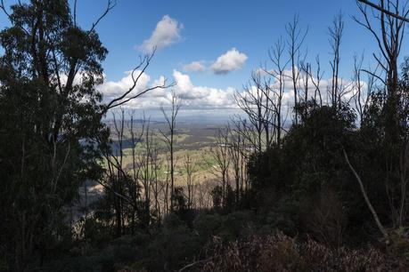 view from mt sugarloaf kinglake