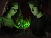 More Night Lights: These Plants Glow-in-the-Dark