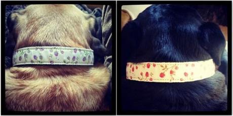 Floral Dog Collars