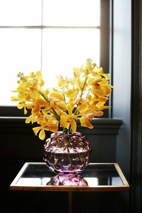 yellow orchids in vase