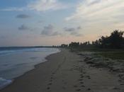 Beaches Lanka: Negombo, Unawatuna, Weligama, Mirissa, Passekudah Kalkudah