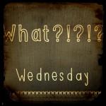 “What…?” Wednesday: Books You’ll Be Gifting