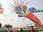 International Kite Festival Gujarat