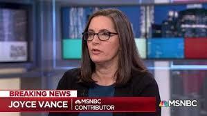 Donald Trump's plot to prosecute Joe Biden without probable cause is based on a lie and ignorance, as MSNBC analyst Joyce White Vance makes clear