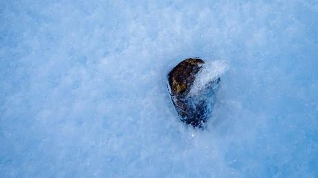 Meteorites could be lost to Antarctic ice as the climate warms, research says
