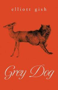 Gothic Horror Infused with Queer Rage: Grey Dog by Elliott Gish