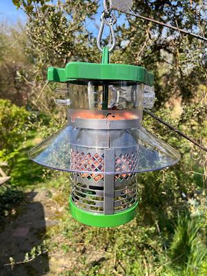 Product Review - Finches Friend Cleaner Peanut Feeder