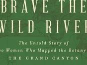 Review: Brave Wild River Melissa Sevigny