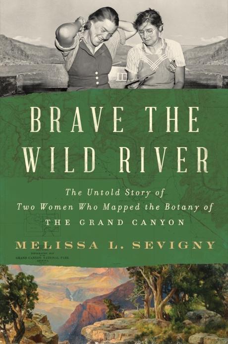 Review: Brave the Wild River by Melissa L. Sevigny