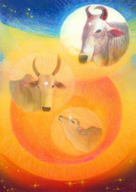 15 Taurus Paintings
