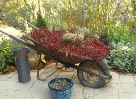 Wheelbarrow turned into a Planter