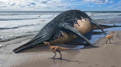 The prehistoric marine reptile may have rivaled the blue whale in size