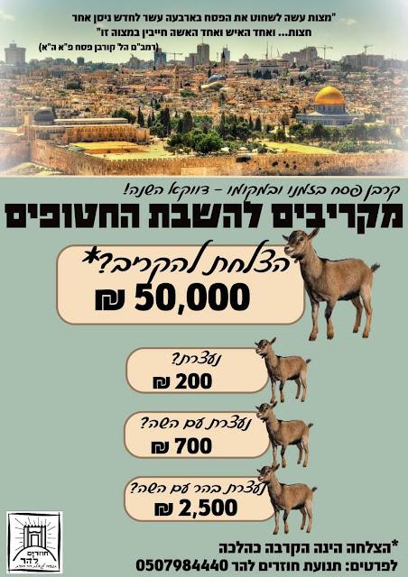 [try to] bring a korban pesach and earn some money