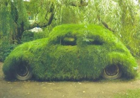 Volkswagen Beetle Covered in Grass