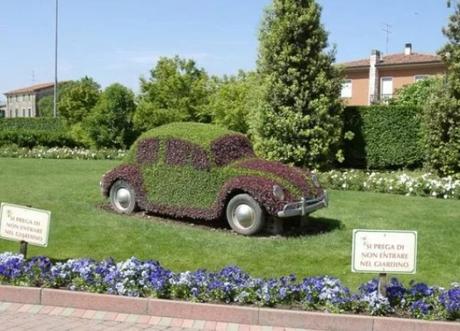 Black Volkswagen Beetle Covered in Grass