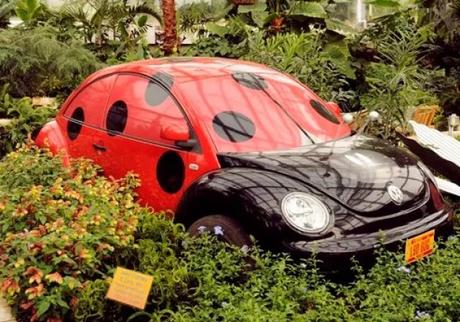 Ladybird Volkswagen Beetle in Garden