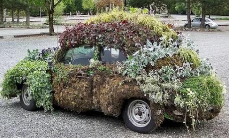 Black Volkswagen Beetle Covered in Plants