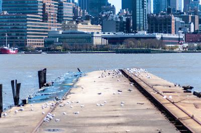 Friday Fotos: Hoboken and the Hudson