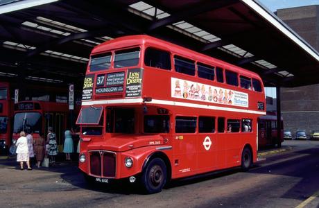 Red Bus Rover