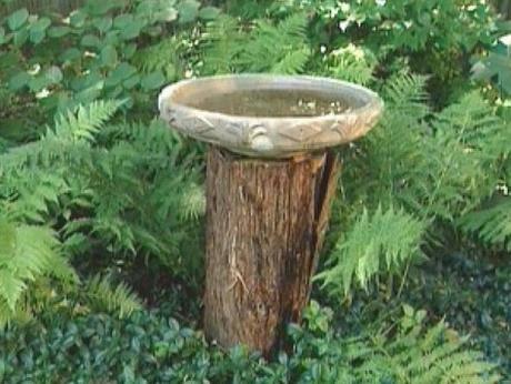 Ten Amazing Things to Can Do With Tree Stumps You Need to See