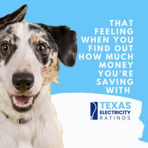 Get that saving feeling when your plan gives you the lowest electricity bill!