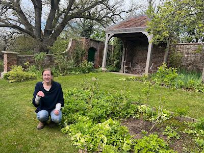 Book Review: Buds and Blossoms by Liz Knight