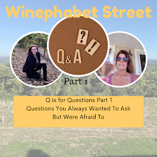 Questions You Always Wanted To Ask About Wine Part 1