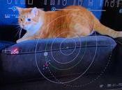 Laser NASA’s Psyche Asteroid Probe Beams Data from Million Miles Away