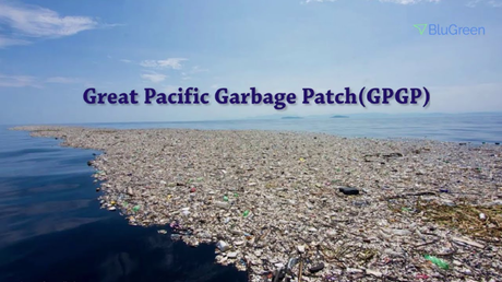 Let’s Clean Up the Great Garbage Patch