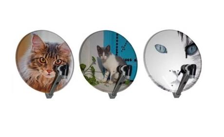 Cat Effect Satellite Dish Art